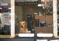 Greeter
